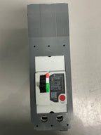 New TEYD2100B 2 Poles, 100 Amps (TEYADFQBCD)