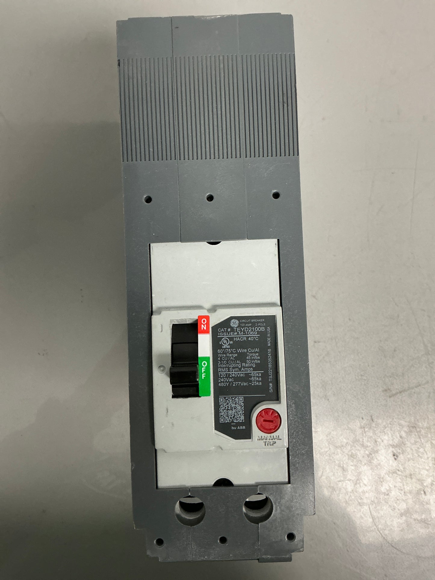 New TEYD2100B 2 Poles, 100 Amps (TEYADFQBCD)