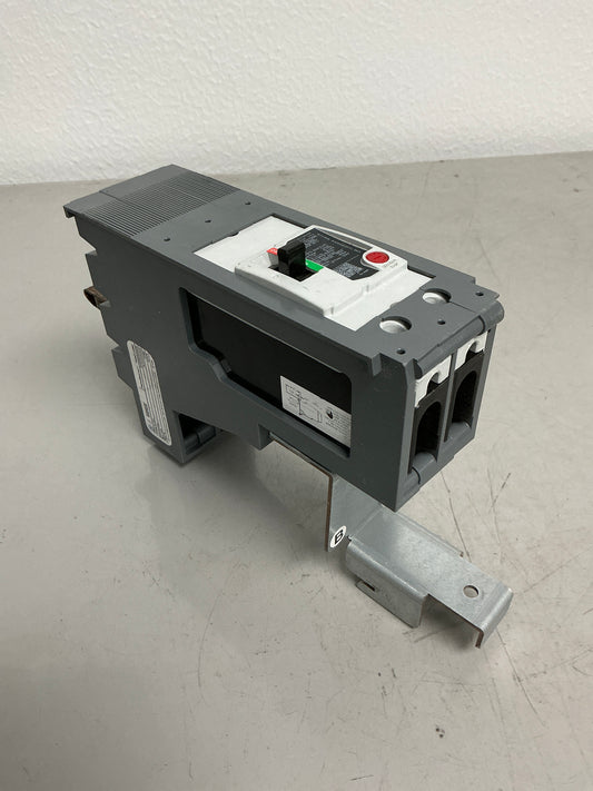 New TEYD2100B 2 Poles, 100 Amps (TEYADFQBCD)